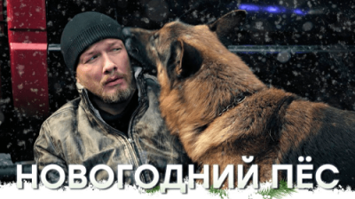 Новогодний пёс