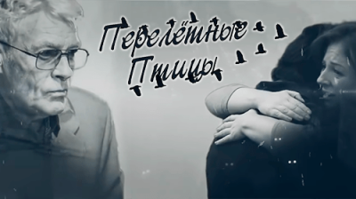 Перелётные птицы