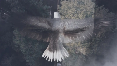 Закон тайги 1 сезон