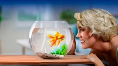 Рыбка по имени Люба