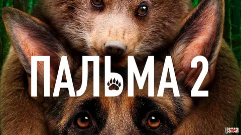 Пальма 2 онлайн
