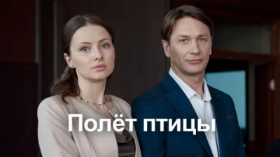 Полёт птицы