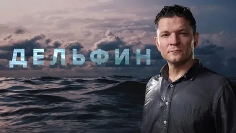 Дельфин 3 онлайн