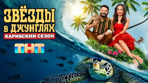 Звёзды в джунглях 2 сезон, 1 выпуск онлайн