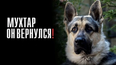 Мухтар. Он вернулся