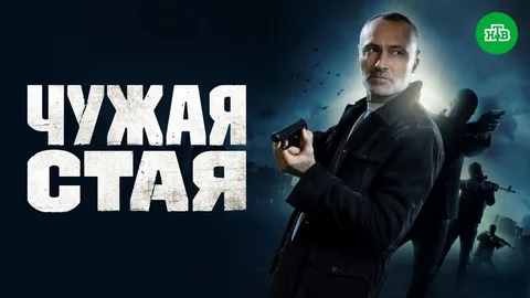 Чужая стая онлайн
