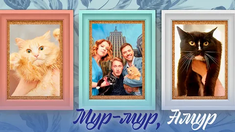 Мур-мур, Амур онлайн