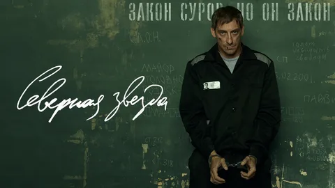 Северная звезда онлайн