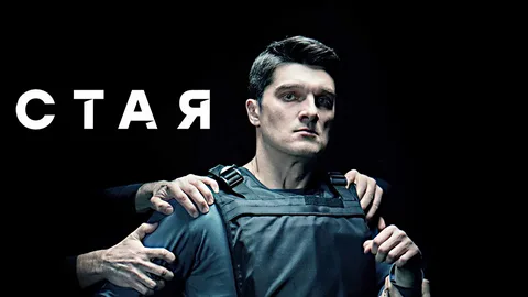 Стая онлайн