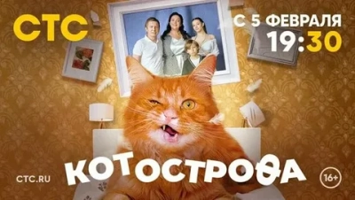 Котострофа