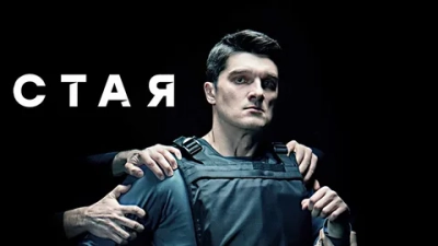 Стая