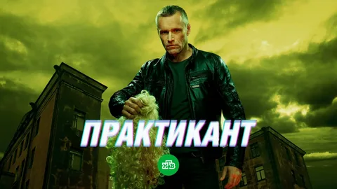 Практикант онлайн