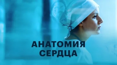 Анатомия сердца